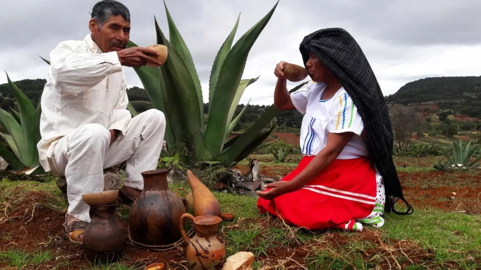 People drinking Pulque
