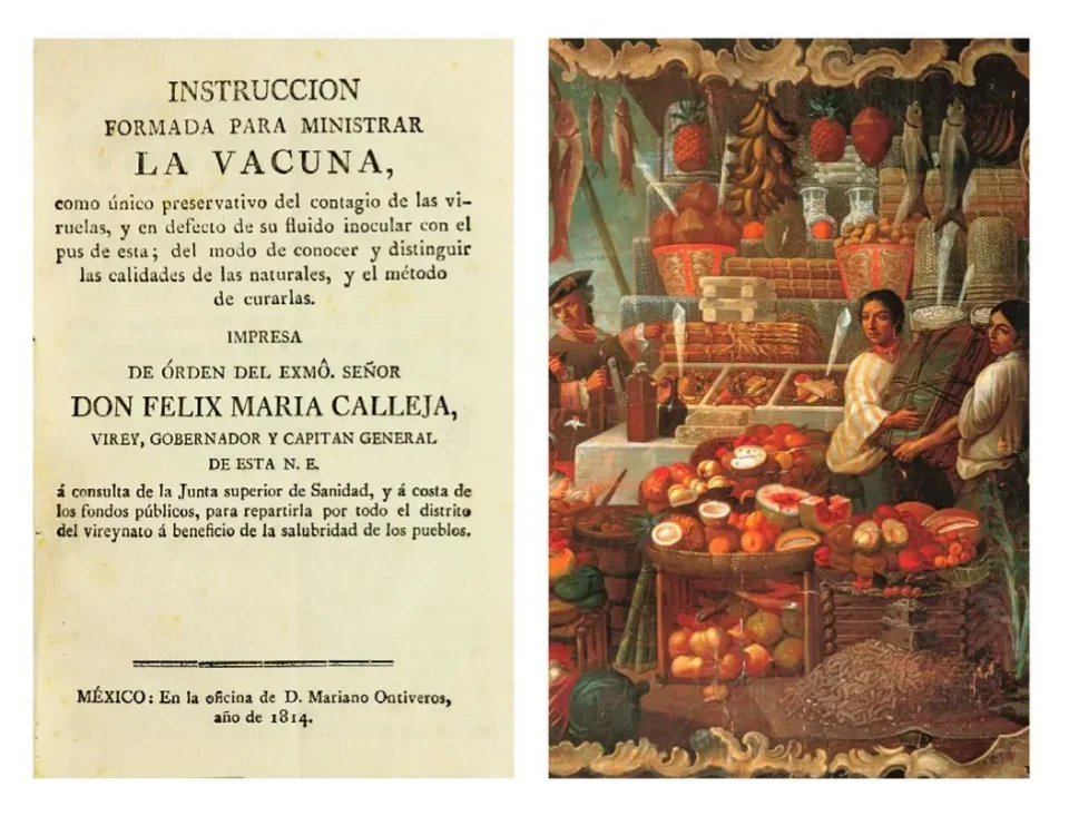 Instructions for administering the vaccine