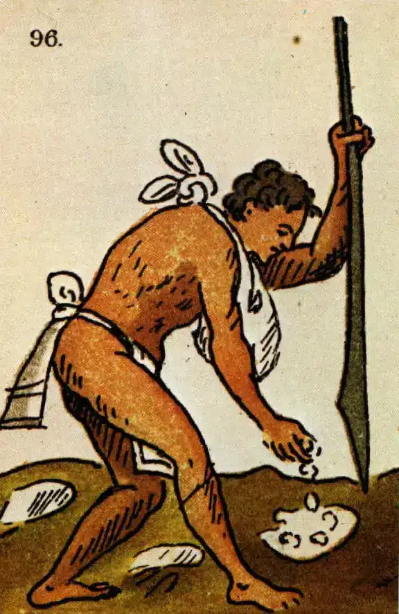 Indigena Sembrando mais