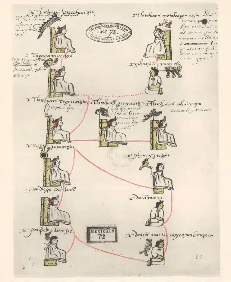 Fragment of Mexica genealogy