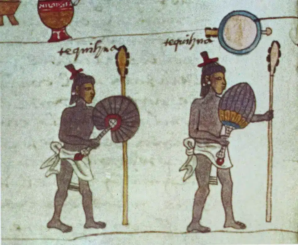 Illustration of codex mendocinus - Postclassic Period