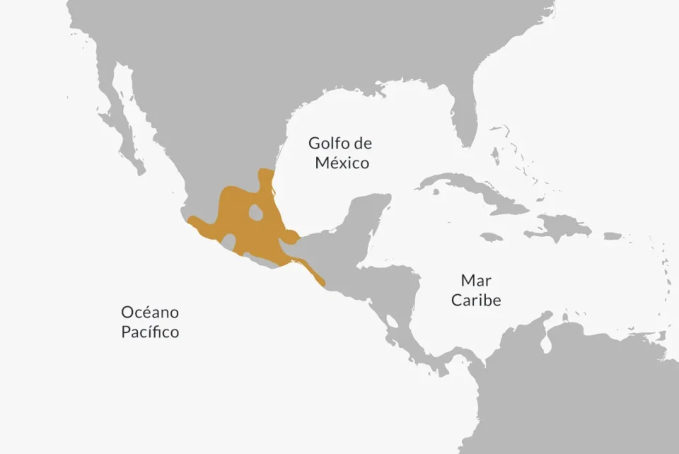 Señorío Mexica en su máxima expansión