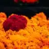 El origen mesoamericano del culto a los muertos: predecesor del Día de Muertos