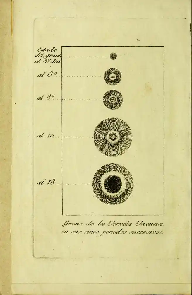 “Retrato del doctor Francisco Piguillem”.